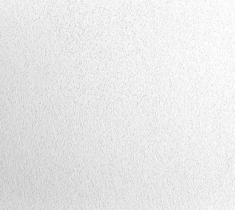 Rockfon Blanka Ceiling Tiles