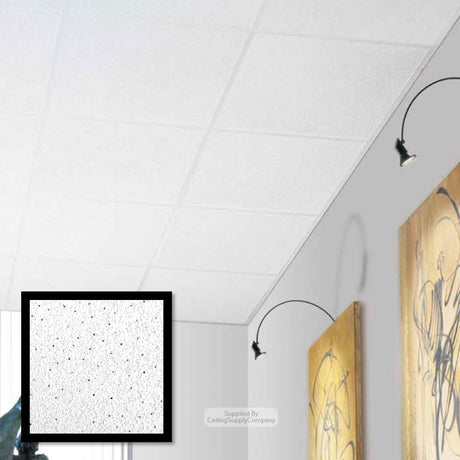 Zentia Mezzguard Ceiling Tiles