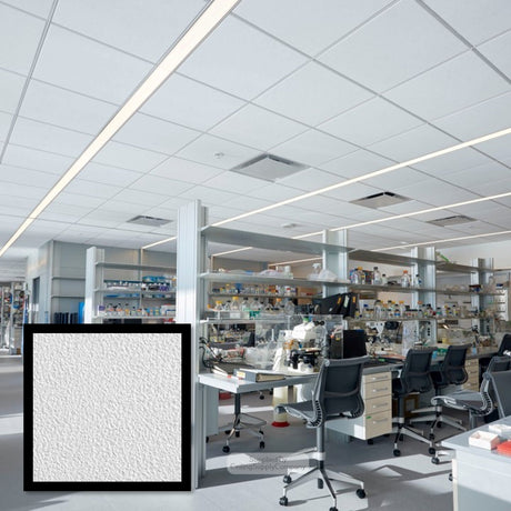 Zentia Clean Room Ceiling Tiles