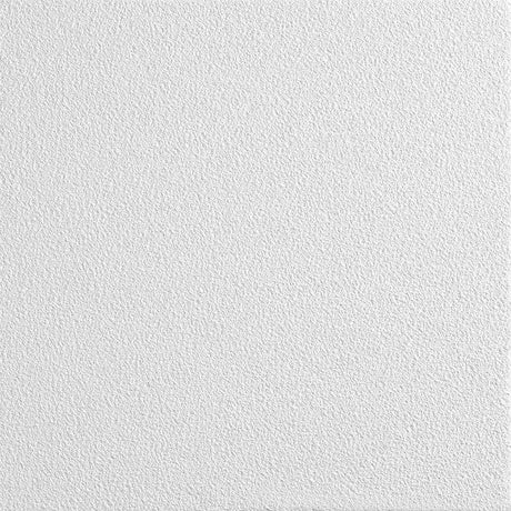 Zentia Clean Room Ceiling Tiles
