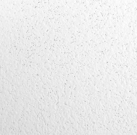 Rockfon Koral Ceiling Tiles