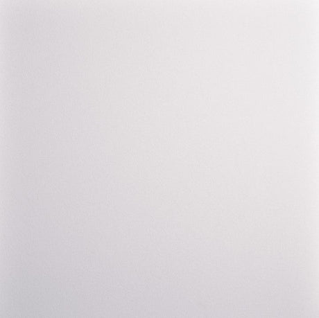Zentia Perla DB Ceiling Tiles