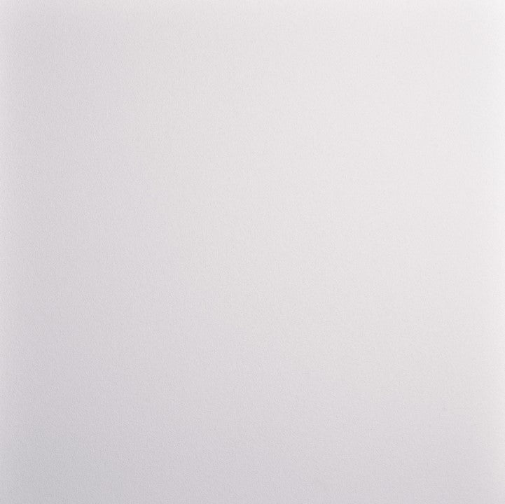 Zentia Perla OP Ceiling Tiles