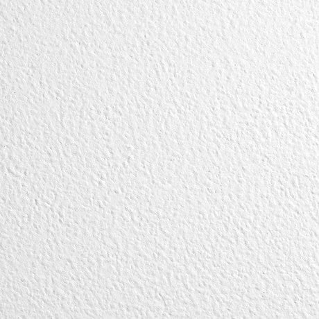 Zentia Plain Ceiling Tiles